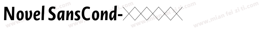 Novel SansCond字体转换